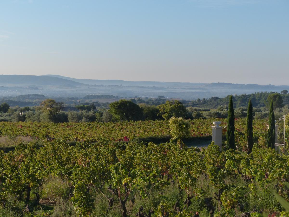 Chateau De Valloubiere-Gite Saint-Jean-de-Fos エクステリア 写真