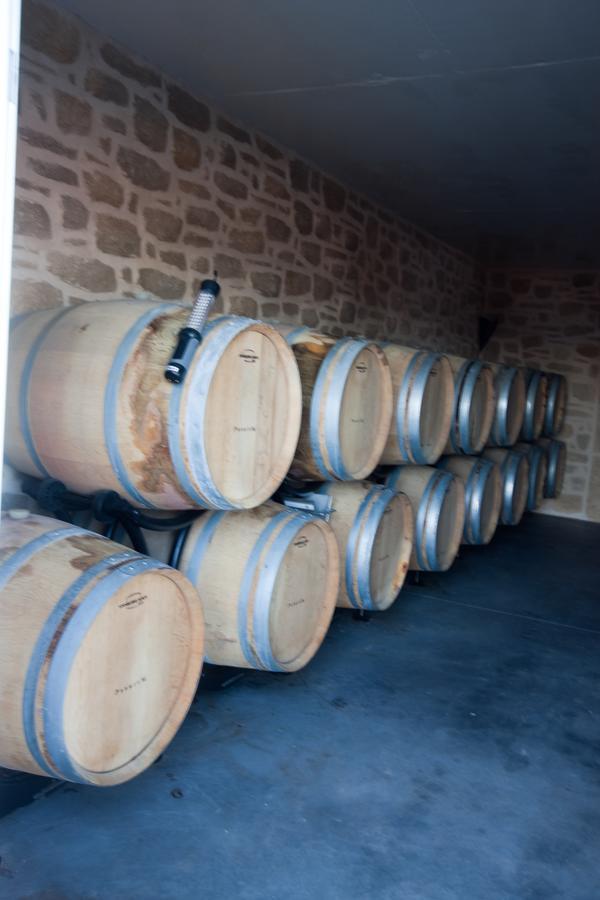 Chateau De Valloubiere-Gite Saint-Jean-de-Fos エクステリア 写真
