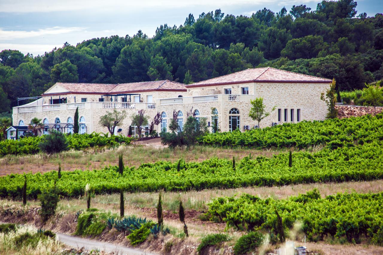 Chateau De Valloubiere-Gite Saint-Jean-de-Fos エクステリア 写真