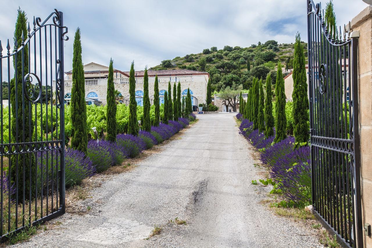Chateau De Valloubiere-Gite Saint-Jean-de-Fos エクステリア 写真